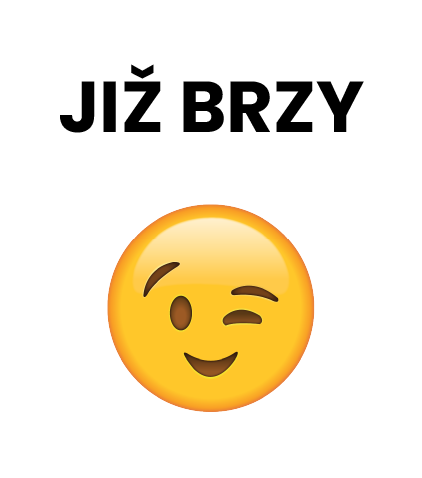 Váš web již brzy karta